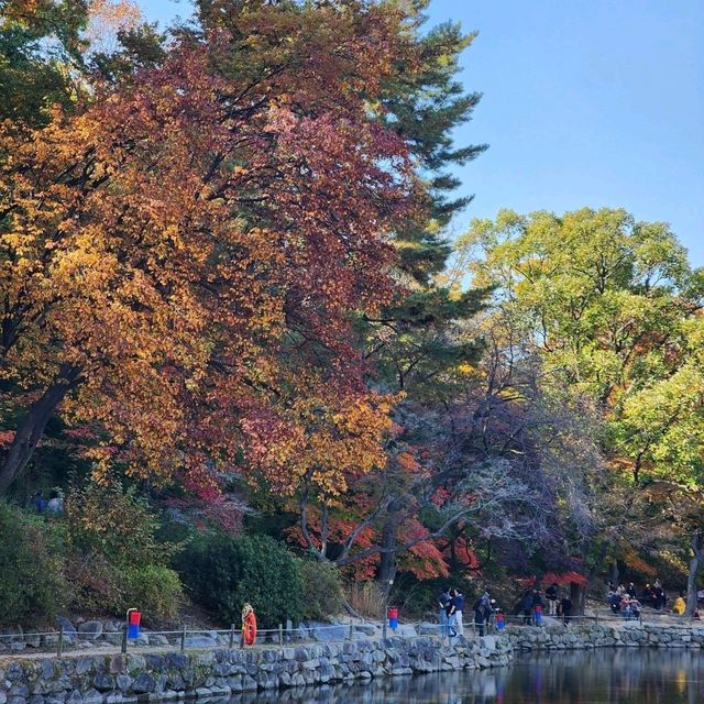 창경궁에 가을이 왔어요~!🍁
