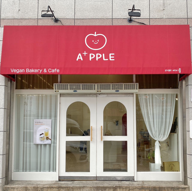 영월역 감성카페 에이플🍎사과빵 정말 맛있는 비건베이커리