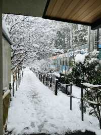 【京都🎎】天狗の住む山　鞍馬寺
