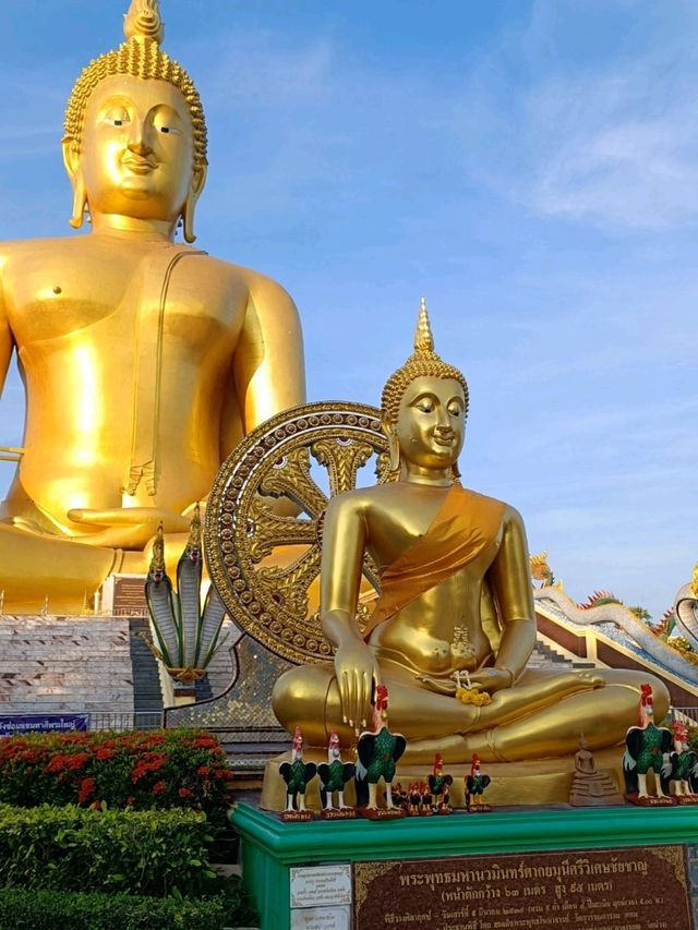 วัดม่วง