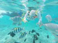 Snorkeling on rubiah island