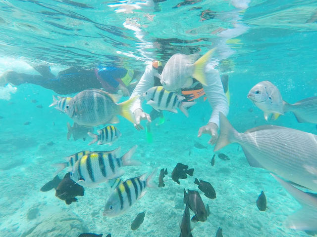 Snorkeling on rubiah island
