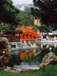 Nan Lian Garden สวนจีนโบราณในฮ่องกง