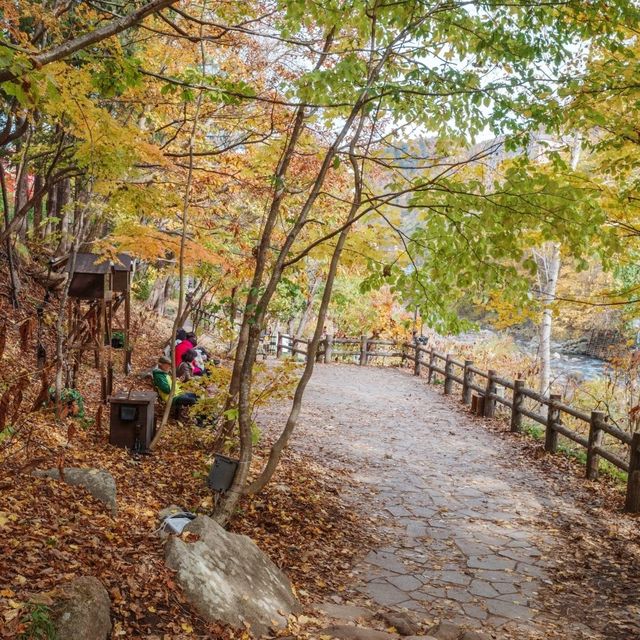 가을에 더욱 예쁜 조잔케이후타미공원