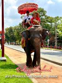 ขี่ช้างชมโบราณสถาน!🐘 กิจกรรมสุดจึ้งในอยุธยา