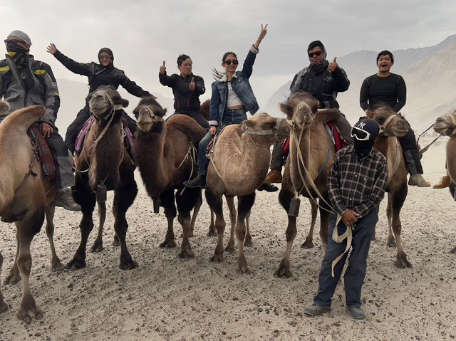 Motorcycle Gang | Leh Ladakh 🇮🇳🏍️