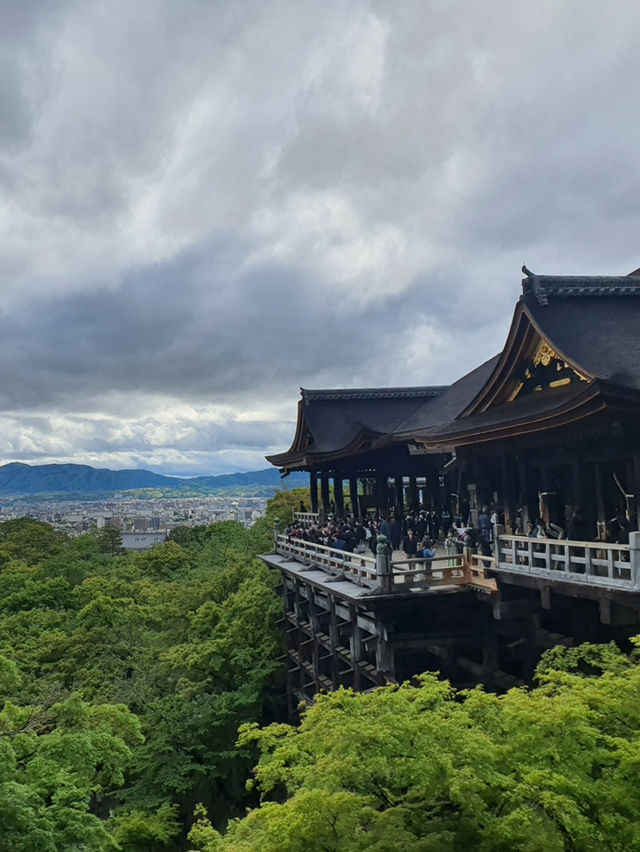 Kiyomizu Dera⛩️🗾