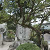 Nature’s Beauty and History: My Stunning Visit to Dazaifu Tenmangu!