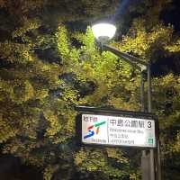 札幌🇯🇵中島公園的日與夜🍁