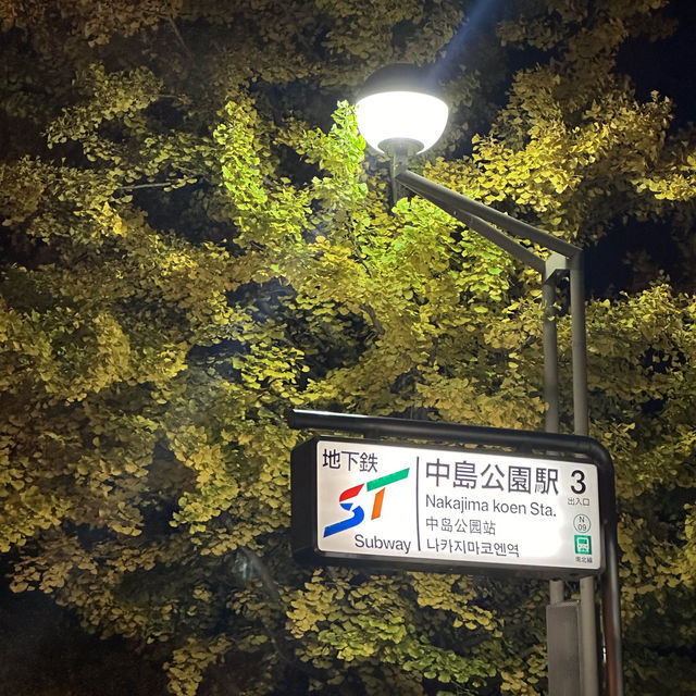 札幌🇯🇵中島公園的日與夜🍁