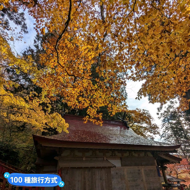 金黃漫紅，日本東北賞銀杏景點分享