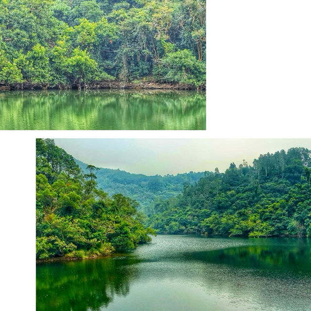 鶴藪露營-享受星空下的寧靜時光，感受簡撲生活帶來的快樂