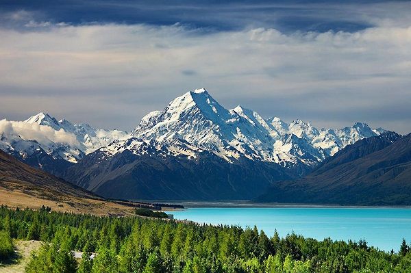 New Zealand: Where the Views Are Stunning, and the Food's Even Better!