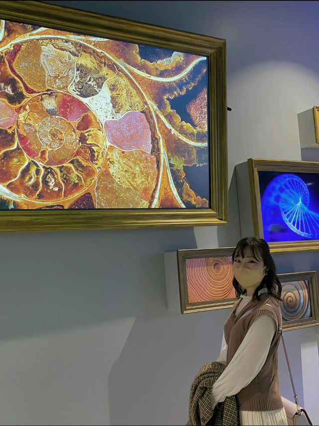 神秘の水族アート🎨！神戸の新感覚アクアリウムで遊んじゃおう〜