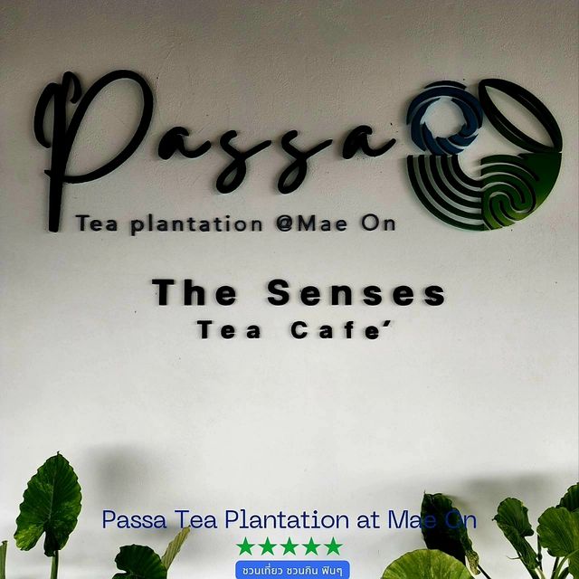 ที่เที่ยวเปิดใหม่ทานอาหารในไร่ชา PASSA Mae On