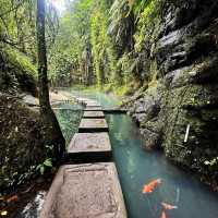 Hidden Gem of Ulu Petanu Waterfall