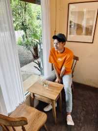 คิดถึงวิทยา คาเฟ่กลางหุบเขาแม่แตง วิวล้านล้าน 🌲☕