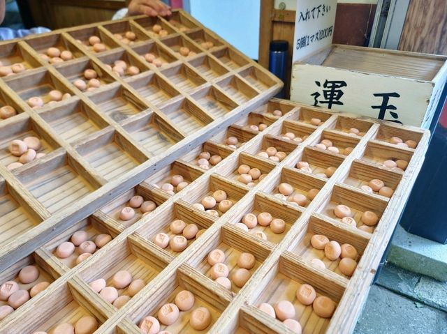 太平洋海岸邊的鵜戶神宮 山與海之間的祕境