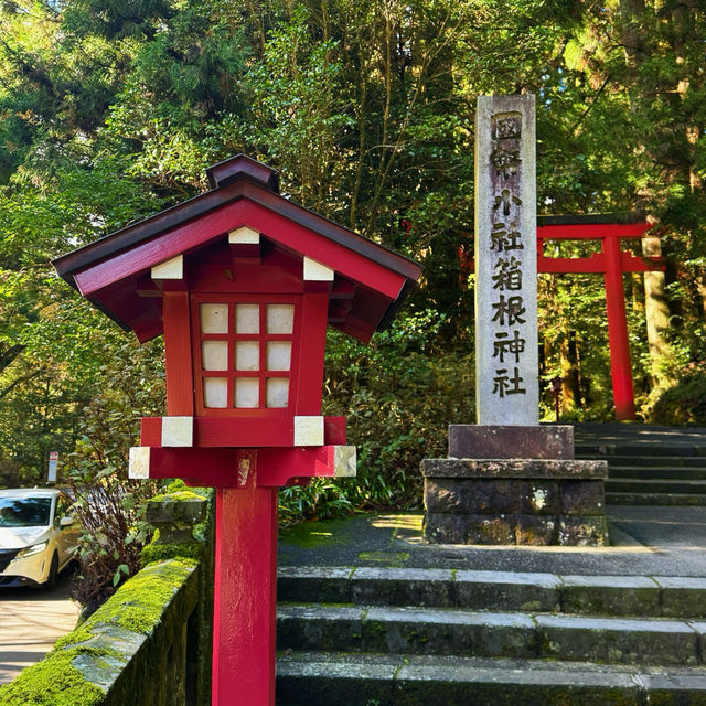 Hakone Freepass! Tokyo outskirts hidden gems awaits for exploration!