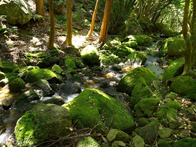 【三重県】ここが三重県！？異国のような海の色の「オハイ」