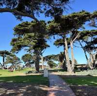Mornington unreal!!!