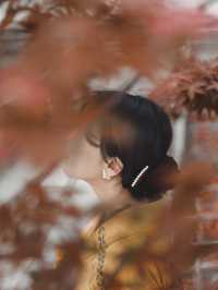 京都紅葉🍁穴場スポット 『くろ谷 金戒光明寺』