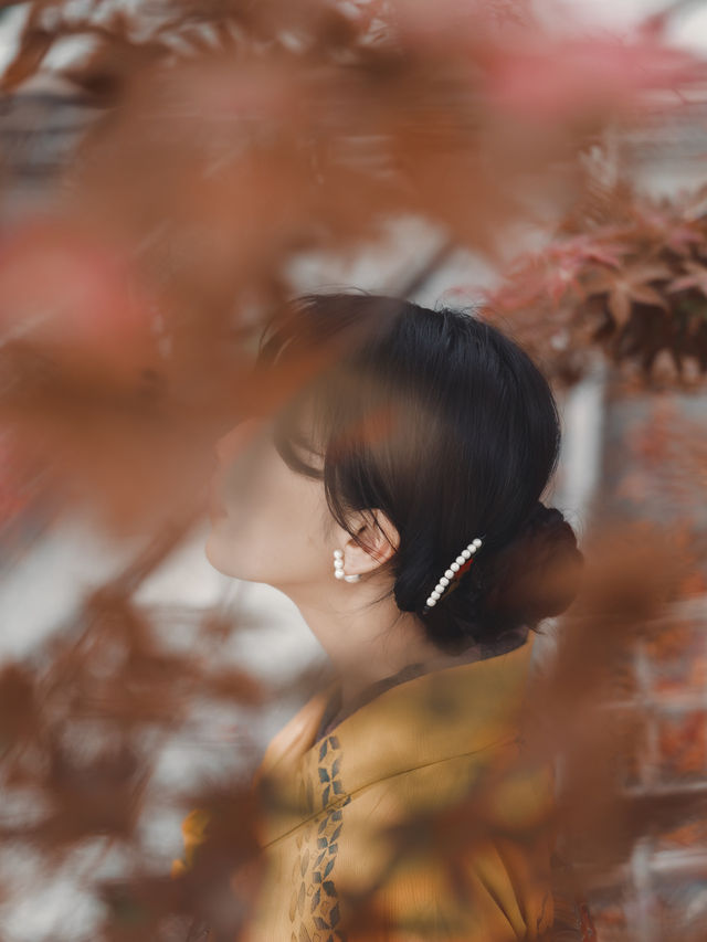 京都紅葉🍁穴場スポット 『くろ谷 金戒光明寺』