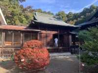 仙台観光　青葉神社