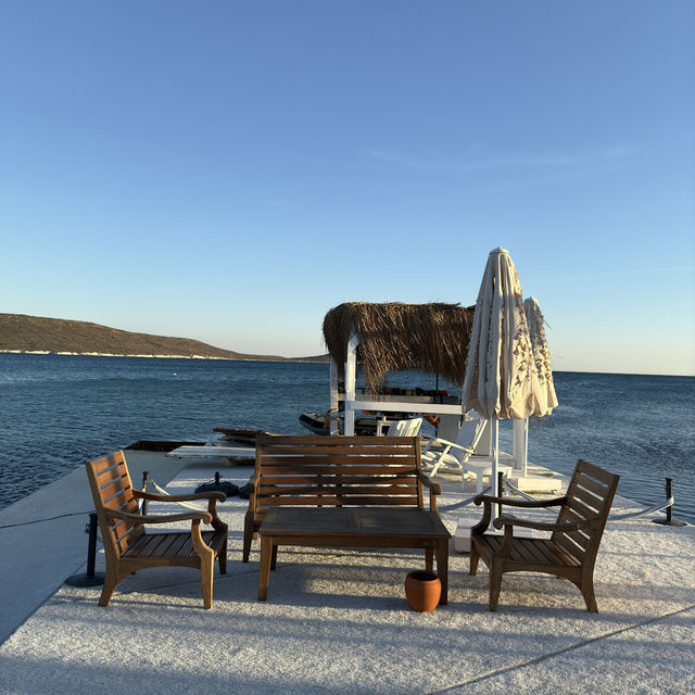 Cocos the Club Solto Recommendation