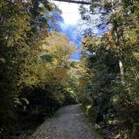 Hoshida Park และ สะพานแขวน Hoshi no Buranko