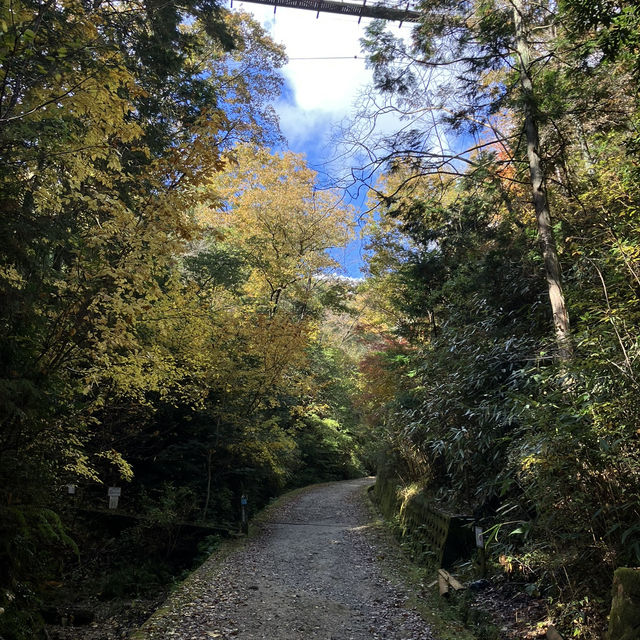 Hoshida Park และ สะพานแขวน Hoshi no Buranko