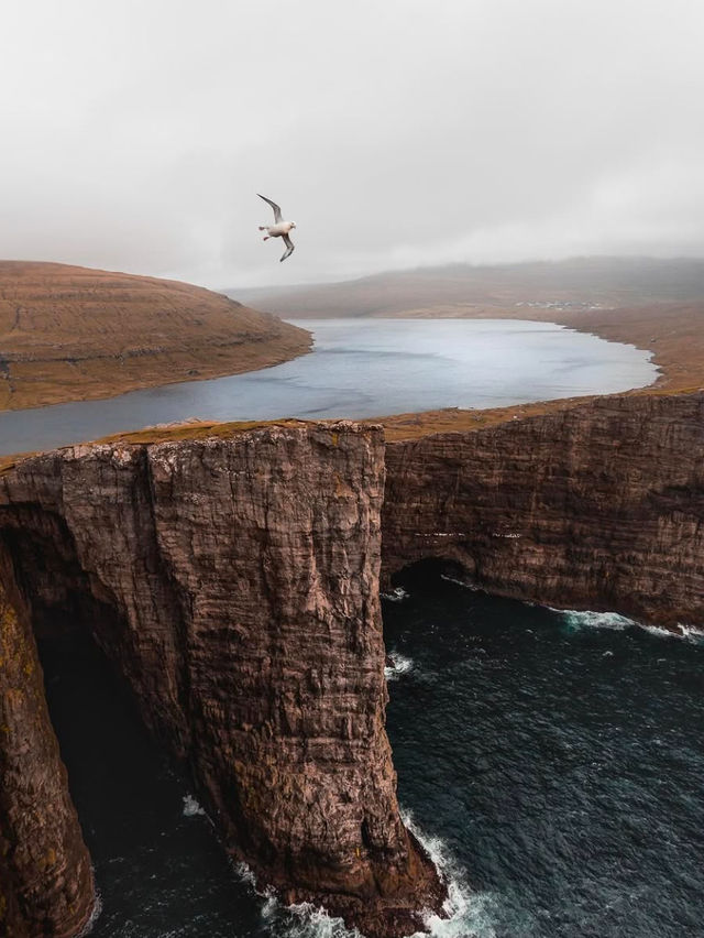 Sheep, Waterfalls, and Epic Roads: Why You Need a Faroe Islands Road Trip😉