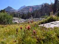 Guide to John Muir Wilderness: A Wilderness Escape and some 🎣 