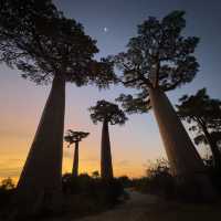 Amazing trip to Morondava, Madagascar