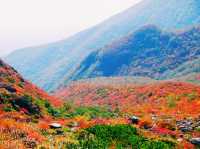 栃木🇯🇵那須岳