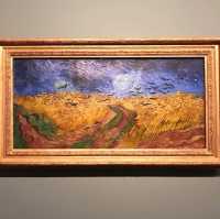 🇳🇱Journey Through Van Gogh’s Artistry in Amsterdam🇳🇱