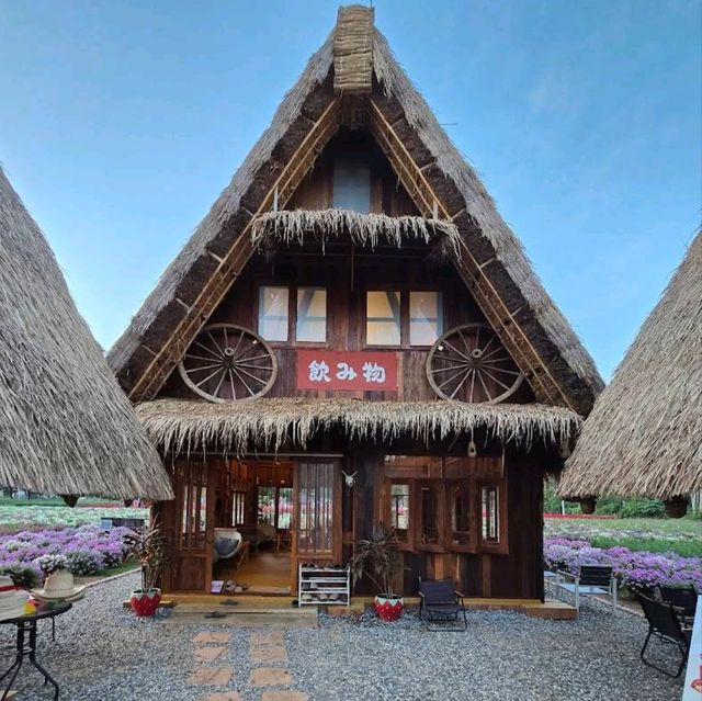 🇯🇵 Hokkaido Flower Park Khaoyai 🇯🇵