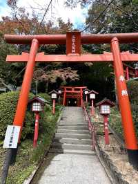 CMで話題となった光の道  3つの日本一がある神社