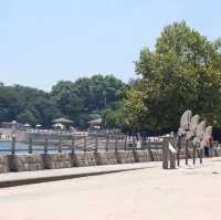 เกาะโอคุโนะชิมะ (Okunoshima) หรือ เกาะกระต่าย