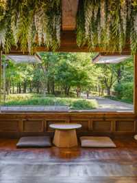 Hidden Gem Hanok Cafe in a park 