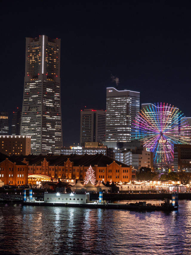 【家族連れにおすすめ！✨】ヨルノヨ2024のイルミネーションが美しすぎる！🐳