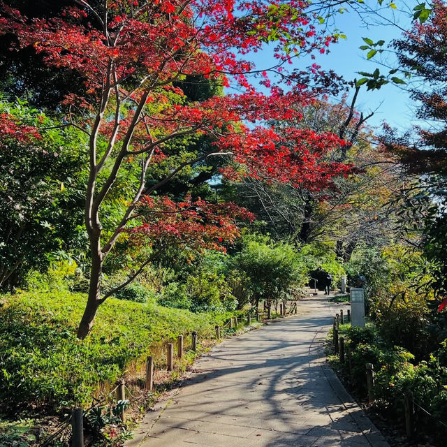 探索東京的綠意心臟：上野公園