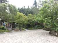 A Picture-Perfect Stop at Dalongdong Baoan Temple