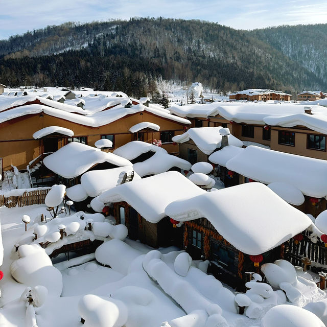 ❤️เที่ยวฮาร์บินเมืองหนาวในฝัน 7 วันแบบไม่เร่งรีบ☃️