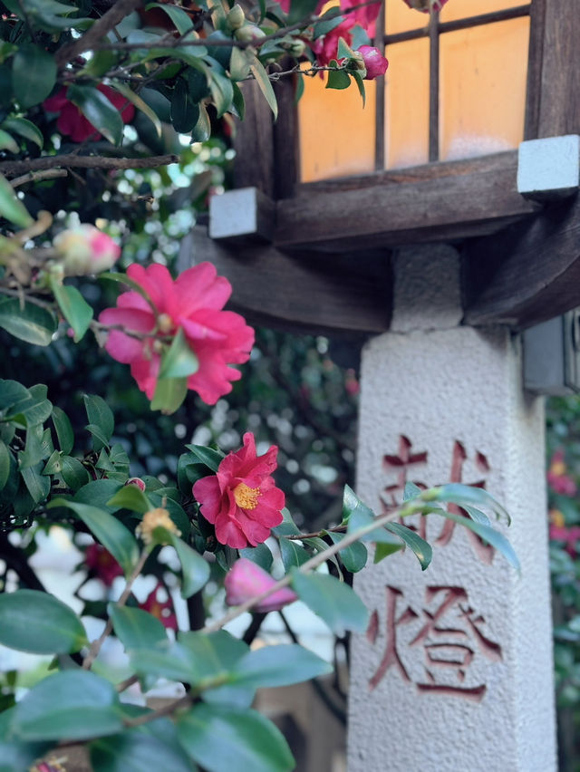 【東京】数量限定!!このお守り最強✨ここに行ったらやるべき3つのこと