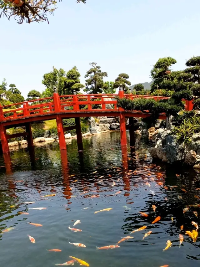 Vinpearl Theme Park: A Family Adventure in Nha Trang