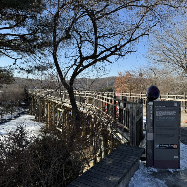 南北韓非軍事區（DMZ）近日體驗