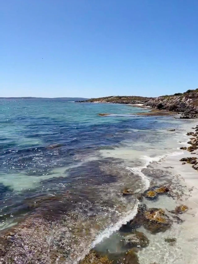 Wilderness Wonder: Exploring Flinders Chase National Park, Kangaroo Island