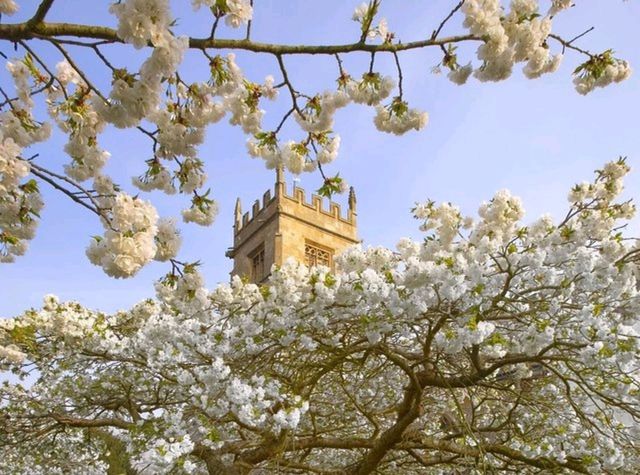 A Picturesque Escape into England's Idyllic Countryside