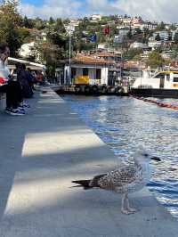 Bebek : A Stroll Through Chic Warerfront